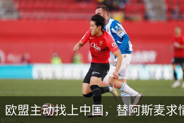 欧盟主动找上中国，替阿斯麦求情：中方别管制了，真顶不住